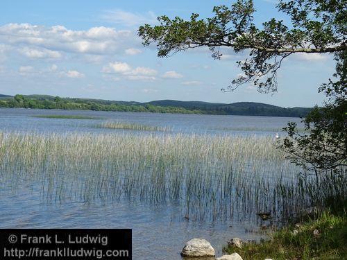 Lough Arrow